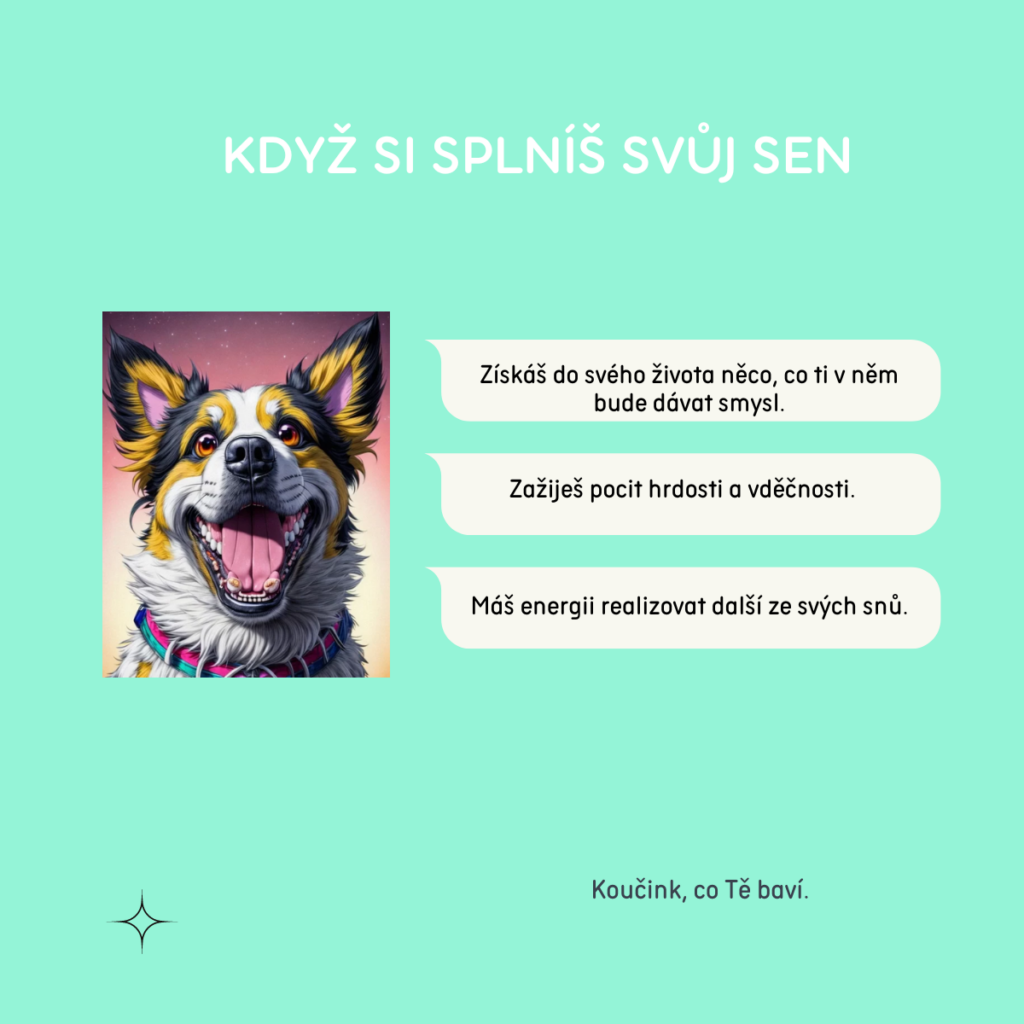 Kdyz si chcete splnit svuj sen 1